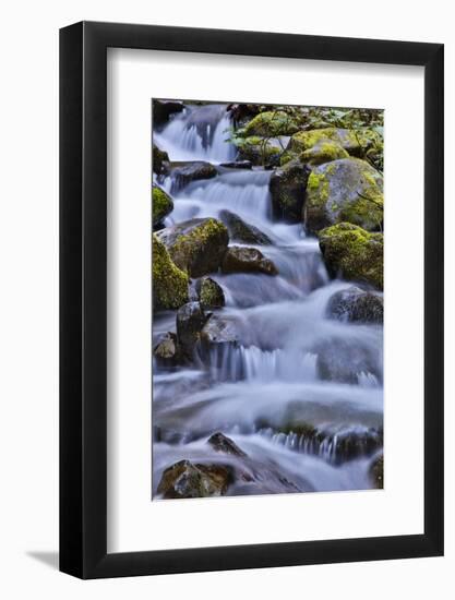 USA, Oregon, Columbia River Gorge, Water Cascading over Rocks at Punchbowl Falls-Hollice Looney-Framed Photographic Print