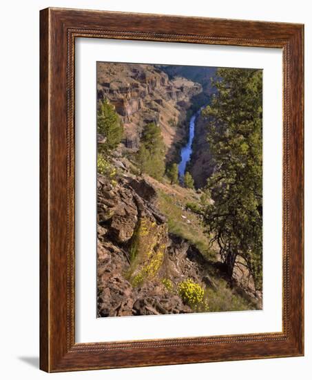 USA, Oregon, Deschutes Canyon. Canyon Landscape-Steve Terrill-Framed Photographic Print