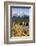 USA, Oregon. Deschutes River Basin, Lava Lake, cattails and Mt. Bachelor.-Alison Jones-Framed Photographic Print