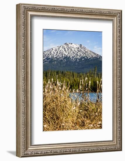 USA, Oregon. Deschutes River Basin, Lava Lake, cattails and Mt. Bachelor.-Alison Jones-Framed Photographic Print