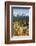 USA, Oregon. Deschutes River Basin, Lava Lake, cattails and Mt. Bachelor.-Alison Jones-Framed Photographic Print