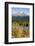 USA, Oregon. Deschutes River Basin, Lava Lake, cattails and Mt. Bachelor.-Alison Jones-Framed Photographic Print