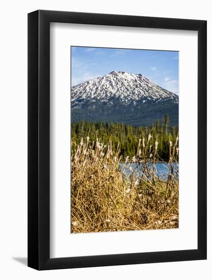 USA, Oregon. Deschutes River Basin, Lava Lake, cattails and Mt. Bachelor.-Alison Jones-Framed Photographic Print