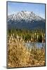 USA, Oregon. Deschutes River Basin, Lava Lake, cattails and Mt. Bachelor.-Alison Jones-Mounted Photographic Print