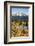 USA, Oregon. Deschutes River Basin, Lava Lake, cattails and Mt. Bachelor.-Alison Jones-Framed Photographic Print