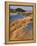 USA, Oregon, Dunes National Recreation Area. Landscape of Sand Dunes-Steve Terrill-Framed Premier Image Canvas