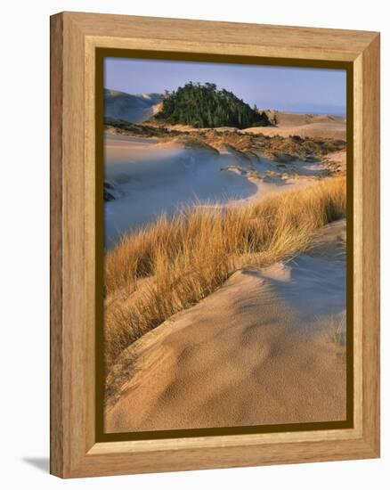 USA, Oregon, Dunes National Recreation Area. Landscape of Sand Dunes-Steve Terrill-Framed Premier Image Canvas