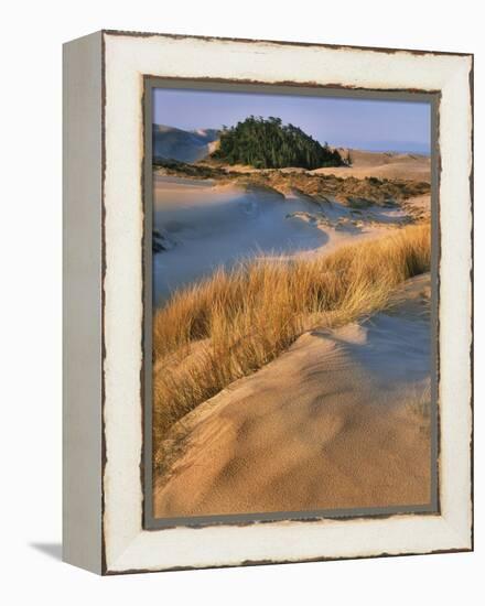 USA, Oregon, Dunes National Recreation Area. Landscape of Sand Dunes-Steve Terrill-Framed Premier Image Canvas