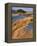 USA, Oregon, Dunes National Recreation Area. Landscape of Sand Dunes-Steve Terrill-Framed Premier Image Canvas