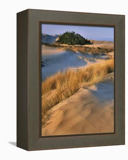 USA, Oregon, Dunes National Recreation Area. Landscape of Sand Dunes-Steve Terrill-Framed Premier Image Canvas