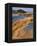 USA, Oregon, Dunes National Recreation Area. Landscape of Sand Dunes-Steve Terrill-Framed Premier Image Canvas