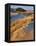 USA, Oregon, Dunes National Recreation Area. Landscape of Sand Dunes-Steve Terrill-Framed Premier Image Canvas