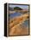 USA, Oregon, Dunes National Recreation Area. Landscape of Sand Dunes-Steve Terrill-Framed Premier Image Canvas