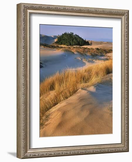 USA, Oregon, Dunes National Recreation Area. Landscape of Sand Dunes-Steve Terrill-Framed Photographic Print