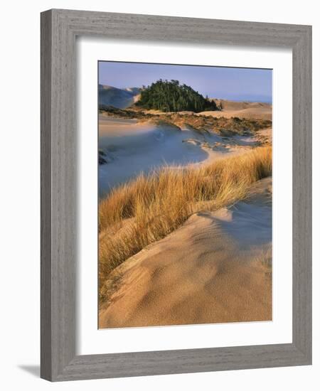 USA, Oregon, Dunes National Recreation Area. Landscape of Sand Dunes-Steve Terrill-Framed Photographic Print