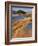 USA, Oregon, Dunes National Recreation Area. Landscape of Sand Dunes-Steve Terrill-Framed Photographic Print