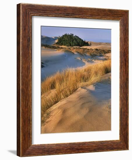 USA, Oregon, Dunes National Recreation Area. Landscape of Sand Dunes-Steve Terrill-Framed Photographic Print