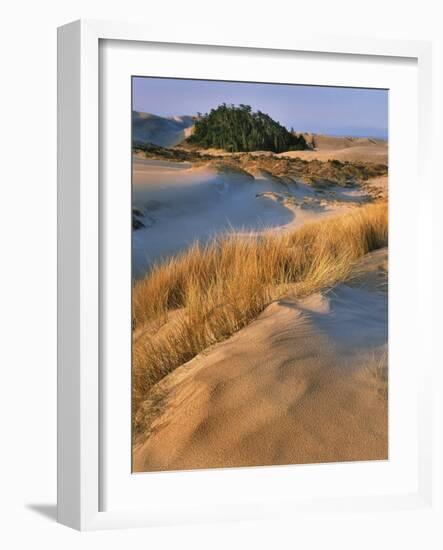 USA, Oregon, Dunes National Recreation Area. Landscape of Sand Dunes-Steve Terrill-Framed Photographic Print