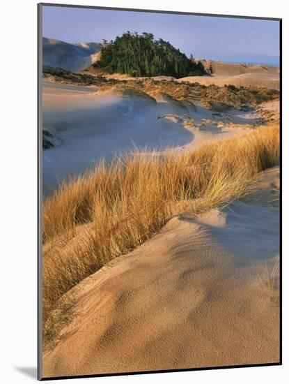 USA, Oregon, Dunes National Recreation Area. Landscape of Sand Dunes-Steve Terrill-Mounted Photographic Print