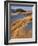 USA, Oregon, Dunes National Recreation Area. Landscape of Sand Dunes-Steve Terrill-Framed Photographic Print