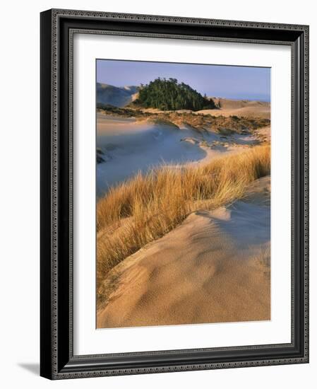 USA, Oregon, Dunes National Recreation Area. Landscape of Sand Dunes-Steve Terrill-Framed Photographic Print