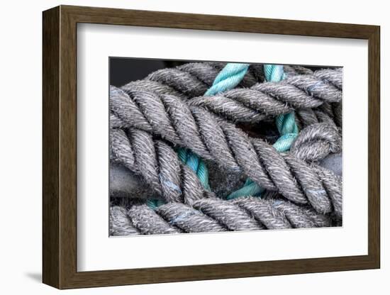 USA, Oregon, Florence of boat mooring lines.-Jaynes Gallery-Framed Photographic Print