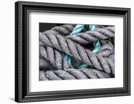 USA, Oregon, Florence of boat mooring lines.-Jaynes Gallery-Framed Photographic Print