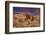 USA, Oregon, Harney County. Wild Horse on Steens Mountain-Janis Miglavs-Framed Photographic Print