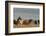 USA, Oregon, Harney County. Wild Horses on Steens Mountain-Janis Miglavs-Framed Photographic Print