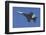 USA, Oregon, Hillsboro, FA-18F Super Hornet.-Rick A Brown-Framed Photographic Print