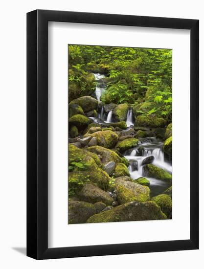 USA, Oregon, Hood River. A waterfall on Tish Creek.-Christopher Reed-Framed Photographic Print