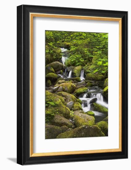 USA, Oregon, Hood River. A waterfall on Tish Creek.-Christopher Reed-Framed Photographic Print