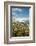 USA, Oregon, Hood River. Mt. Hood Looms over Apple Orchard-Richard Duval-Framed Photographic Print