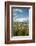 USA, Oregon, Hood River. Mt. Hood Looms over Apple Orchard-Richard Duval-Framed Photographic Print