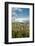 USA, Oregon, Hood River. Mt. Hood Looms over Apple Orchard-Richard Duval-Framed Photographic Print