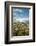 USA, Oregon, Hood River. Mt. Hood Looms over Apple Orchard-Richard Duval-Framed Photographic Print