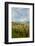 USA, Oregon, Hood River. Mt. Hood Looms over Apple Orchard-Richard Duval-Framed Photographic Print