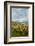 USA, Oregon, Hood River. Mt. Hood Looms over Apple Orchard-Richard Duval-Framed Photographic Print