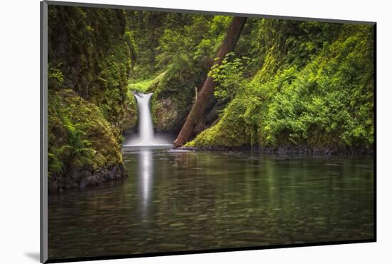 USA, Oregon, Hood River. Punch Bowl Falls along Eagle Creek in the Columbia River Gorge.-Christopher Reed-Mounted Photographic Print