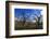 USA, Oregon, Hood River Valley, an Orchard-Rick A Brown-Framed Photographic Print