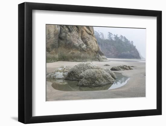 USA, Oregon. Hug Point State Park, foggy beach.-Rob Tilley-Framed Photographic Print