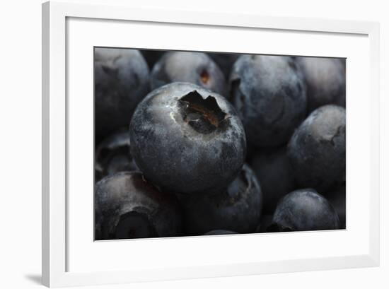 USA, Oregon, Keizer, Blueberries-Rick A. Brown-Framed Photographic Print