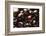 USA, Oregon, Keizer, Dark Cherries-Rick A. Brown-Framed Photographic Print