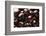 USA, Oregon, Keizer, Dark Cherries-Rick A. Brown-Framed Photographic Print