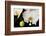 USA, Oregon, Keizer, Hybrid Orchid-Rick A Brown-Framed Photographic Print