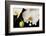 USA, Oregon, Keizer, Hybrid Orchid-Rick A Brown-Framed Photographic Print