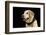 USA, Oregon, Keizer, Labrador Retriever in Her Christmas Collar, Pr-Rick A. Brown-Framed Photographic Print