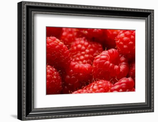 USA, Oregon, Keizer, Locally Grown Raspberries-Rick A. Brown-Framed Photographic Print