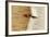 USA, Oregon, Keizer, Peeling Bark on a Paper Birch-Rick A. Brown-Framed Photographic Print