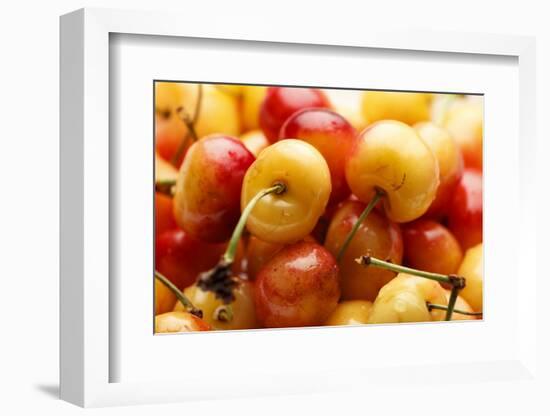 USA, Oregon, Keizer, Rainier Cherries-Rick A^ Brown-Framed Photographic Print